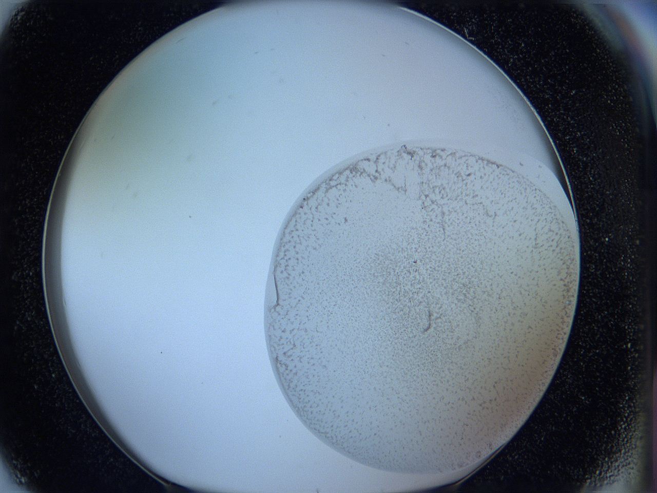 05w4_G8_ImagerDefaults_3.jpg