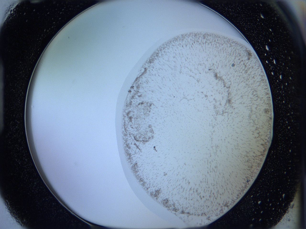 05w4_H3_ImagerDefaults_3.jpg