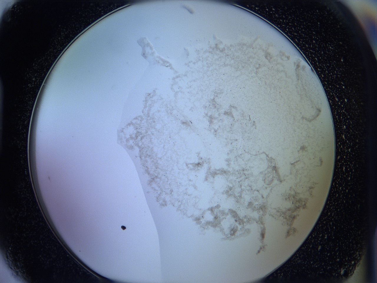 05w4_H5_ImagerDefaults_3.jpg