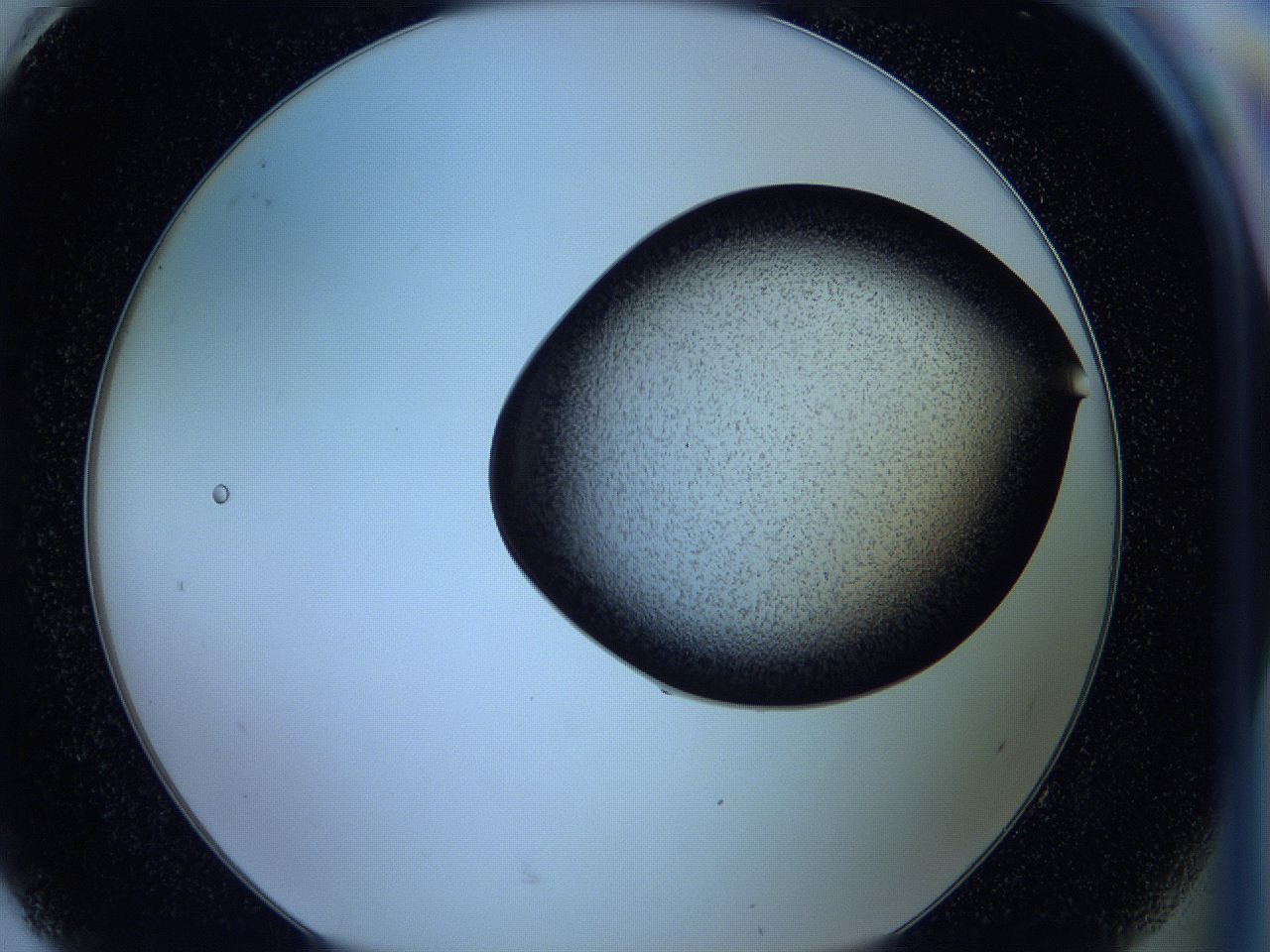 05w4_H8_ImagerDefaults_3.jpg