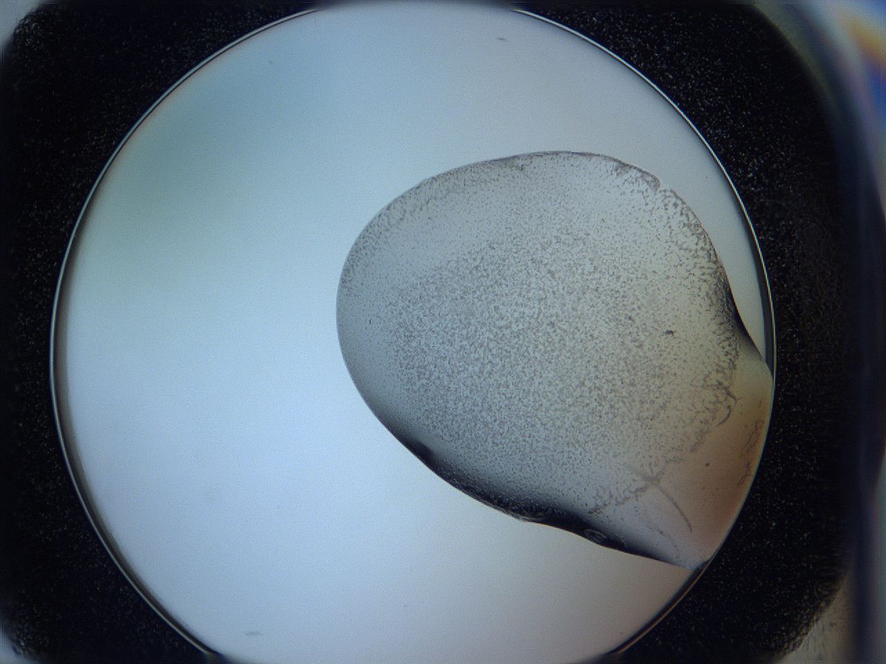 05w4_H10_ImagerDefaults_3.jpg
