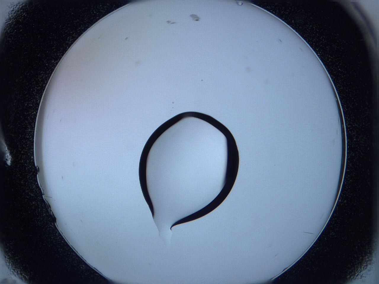 05w5_A11_ImagerDefaults_1.jpg