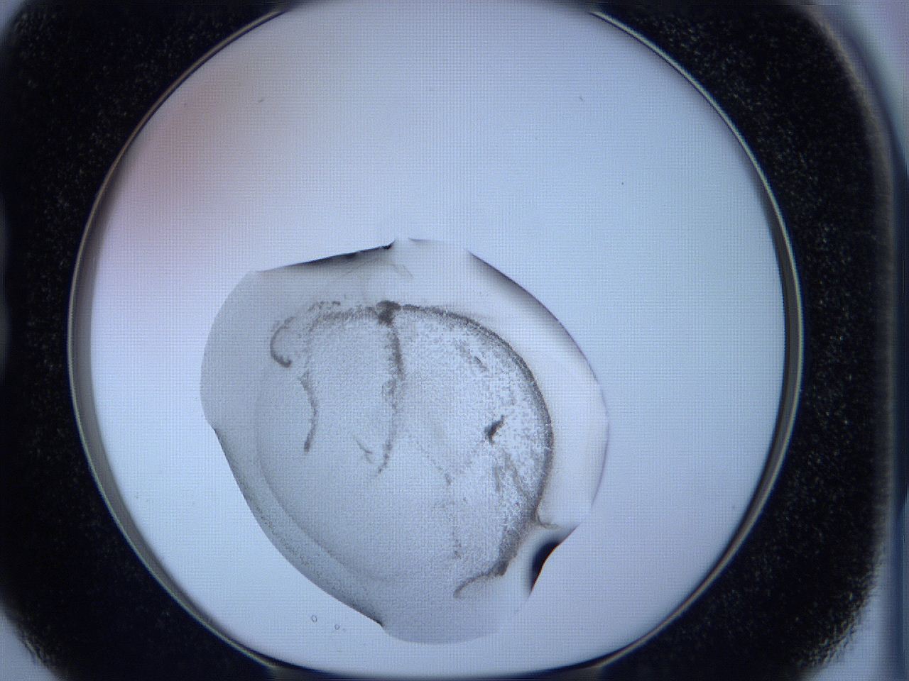 05w5_B3_ImagerDefaults_3.jpg