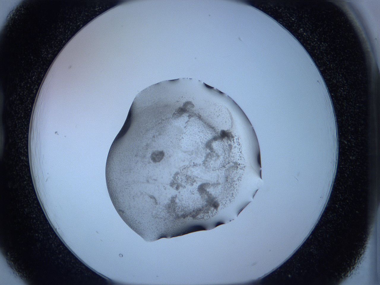 05w5_B6_ImagerDefaults_3.jpg