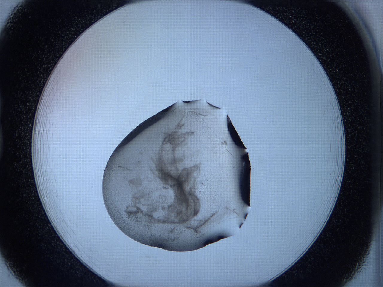 05w5_B8_ImagerDefaults_3.jpg