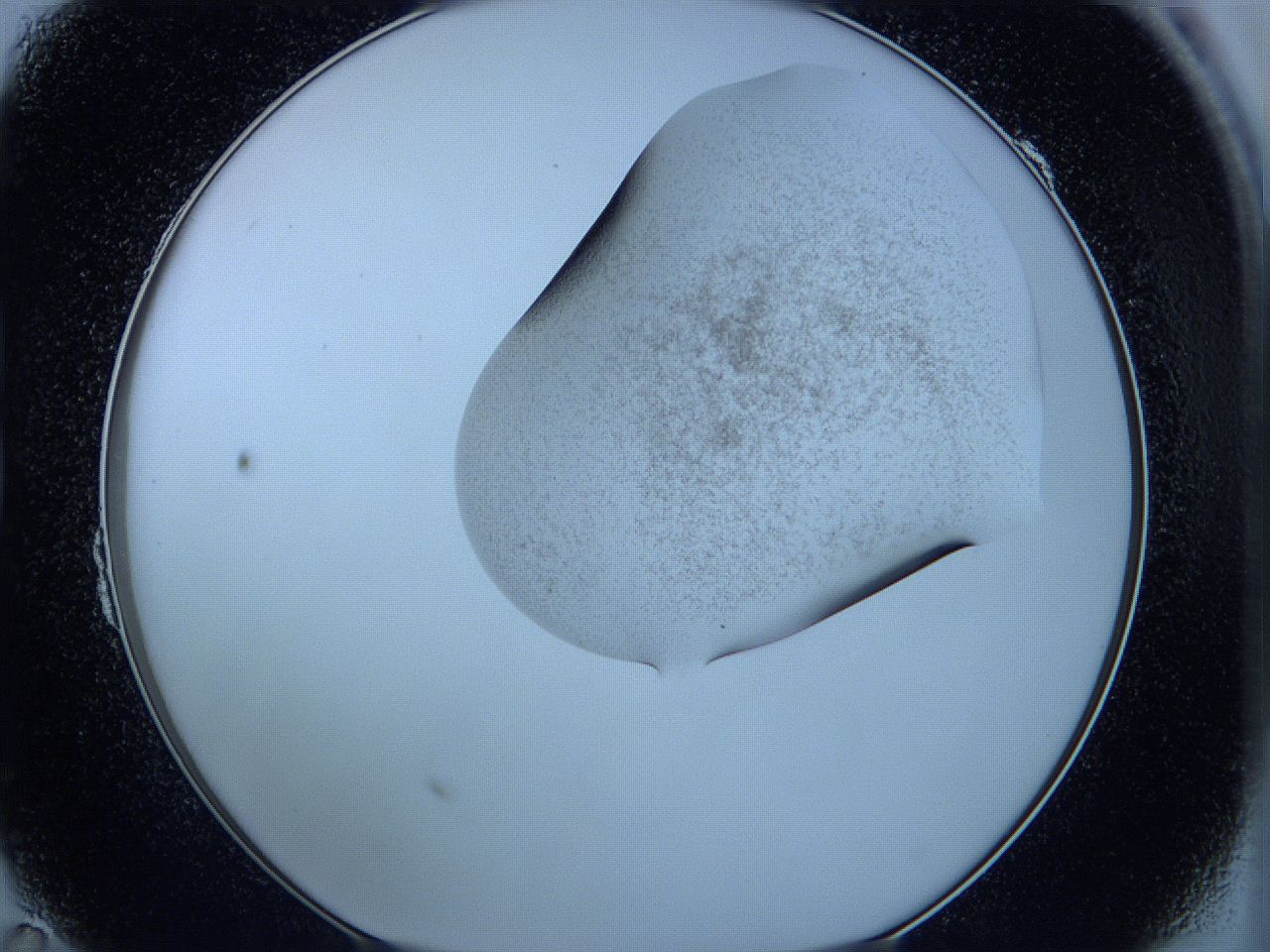 05w5_B11_ImagerDefaults_3.jpg