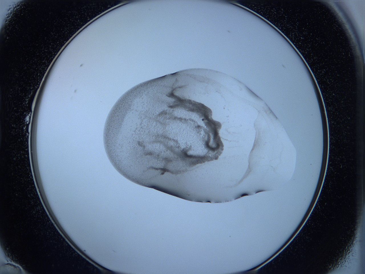 05w5_B10_ImagerDefaults_3.jpg