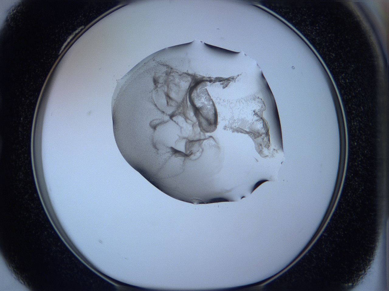 05w5_C4_ImagerDefaults_3.jpg