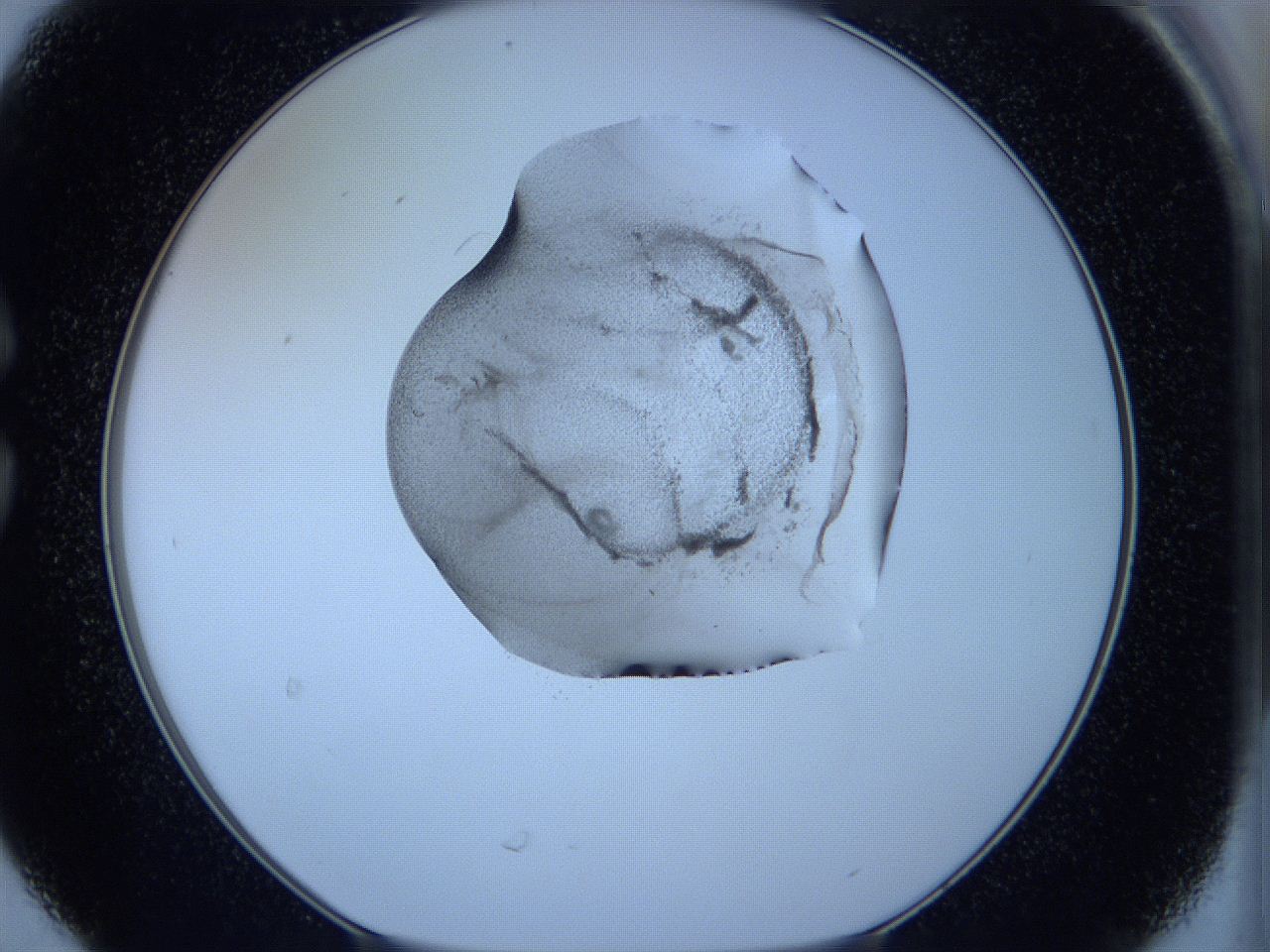 05w5_C6_ImagerDefaults_3.jpg