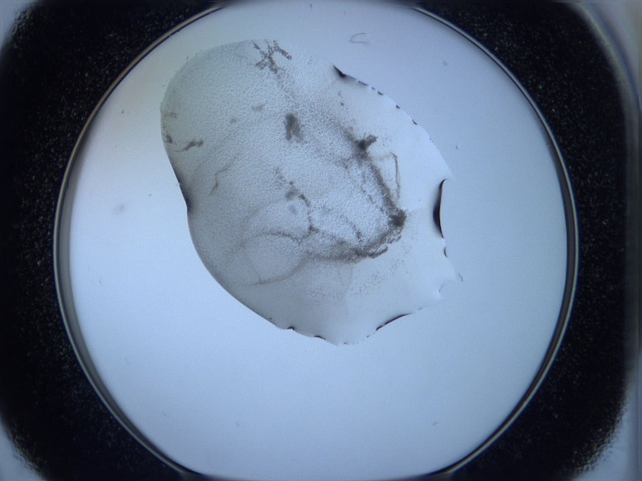05w5_C7_ImagerDefaults_3.jpg