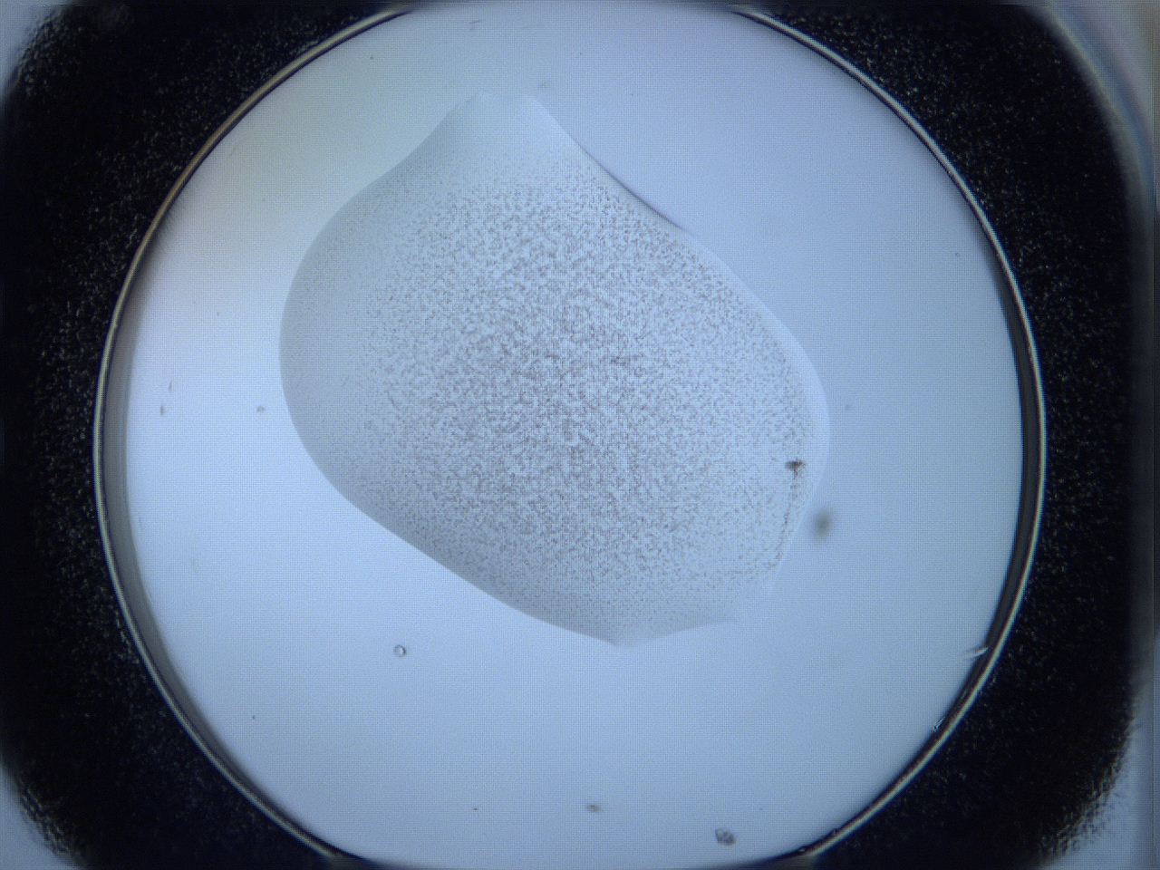 05w5_C8_ImagerDefaults_3.jpg