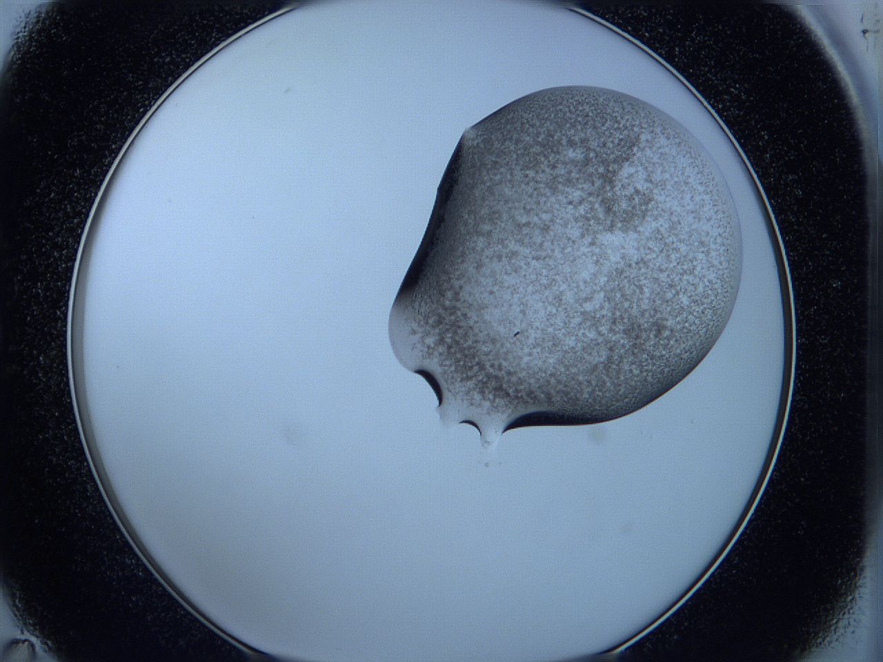 05w5_C11_ImagerDefaults_3.jpg