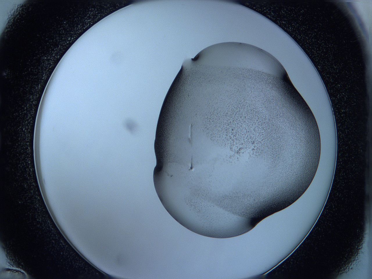 05w5_C12_ImagerDefaults_3.jpg