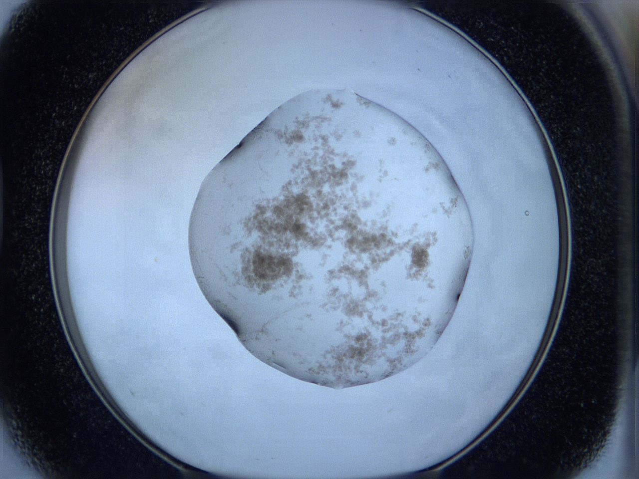05w5_D5_ImagerDefaults_3.jpg