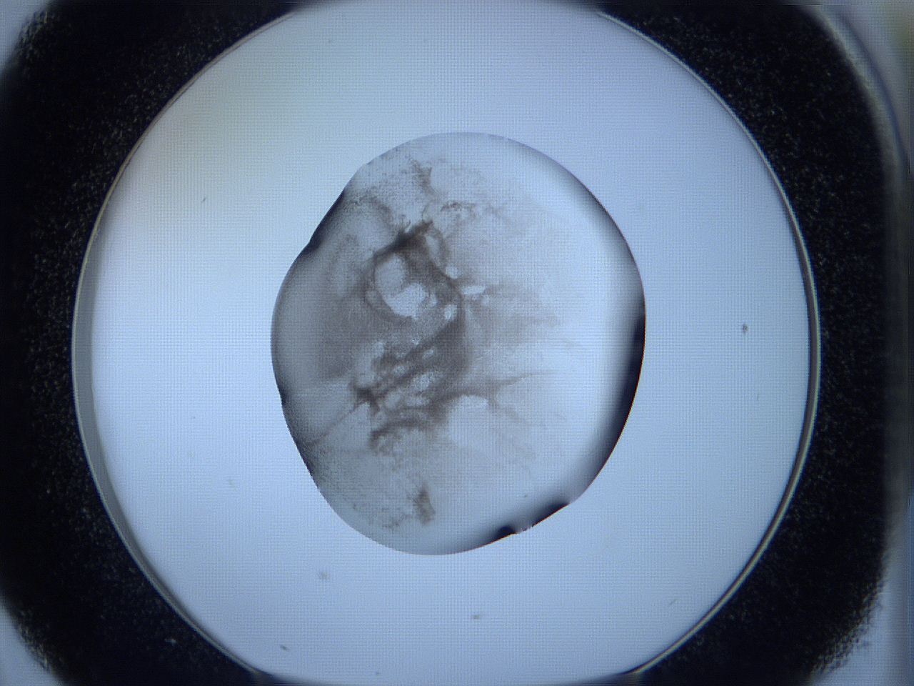 05w5_D7_ImagerDefaults_3.jpg