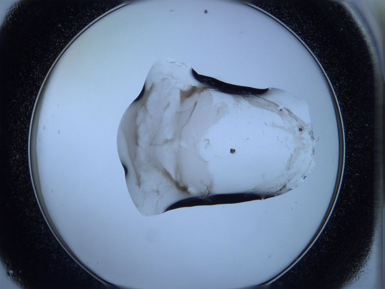 05w5_D9_ImagerDefaults_3.jpg
