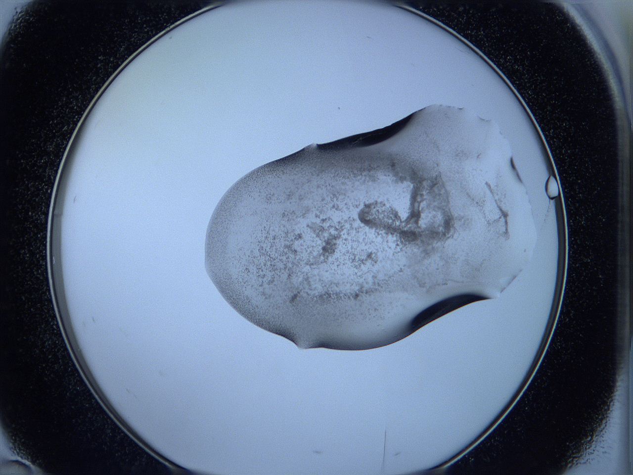 05w5_D10_ImagerDefaults_3.jpg