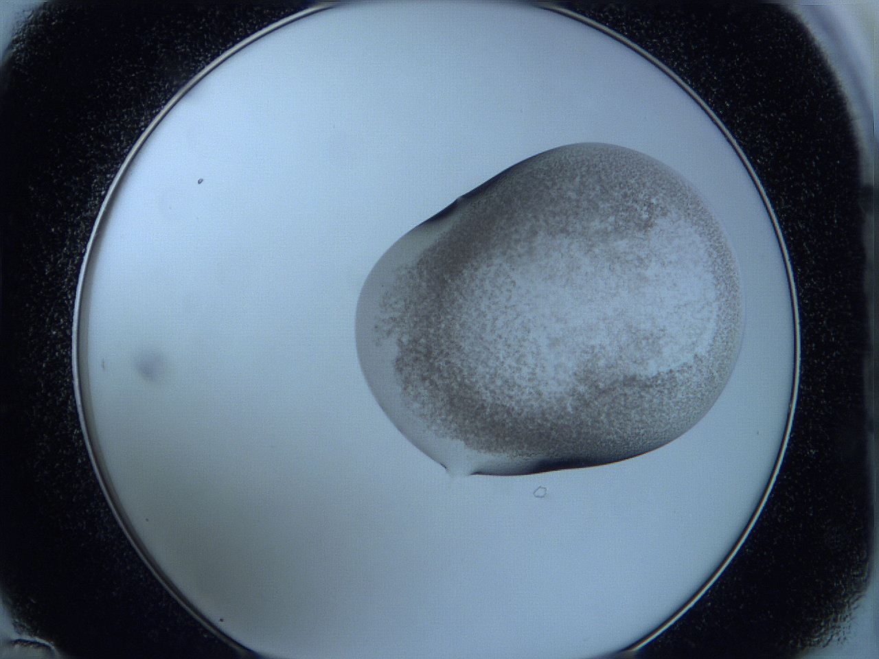 05w5_D12_ImagerDefaults_3.jpg