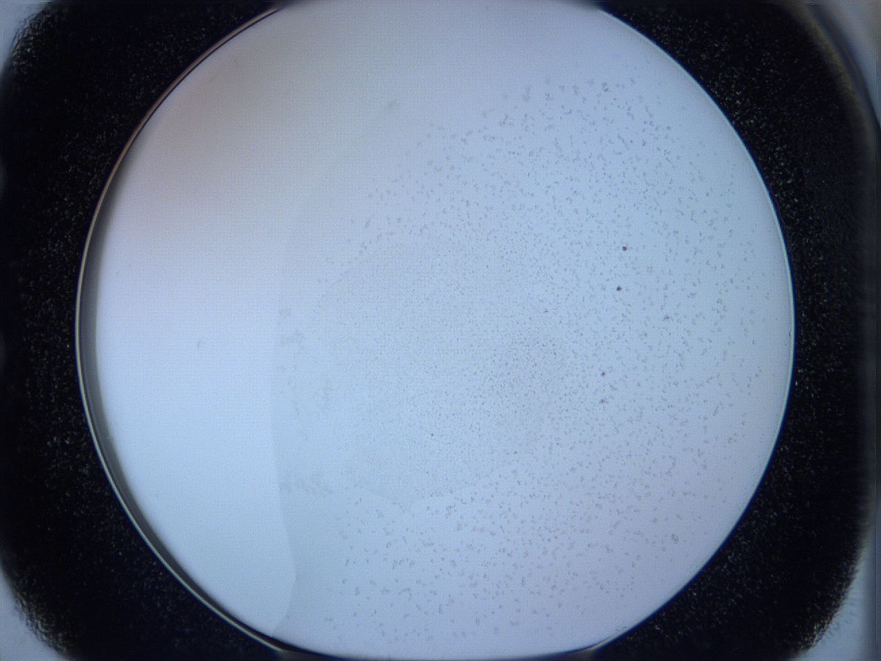 05w5_E2_ImagerDefaults_3.jpg
