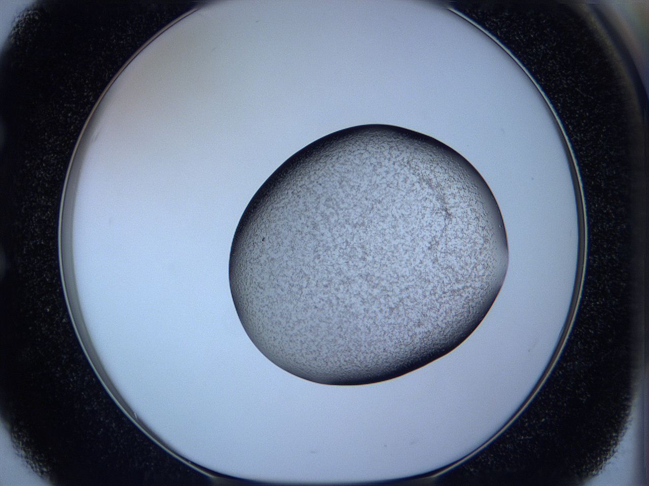 05w5_E3_ImagerDefaults_3.jpg
