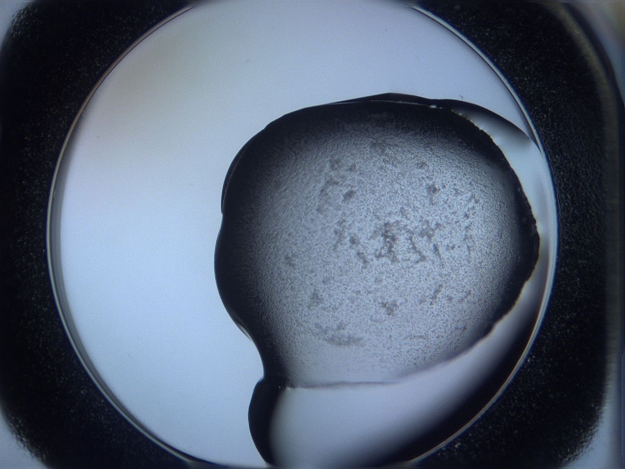 05w5_E4_ImagerDefaults_3.jpg