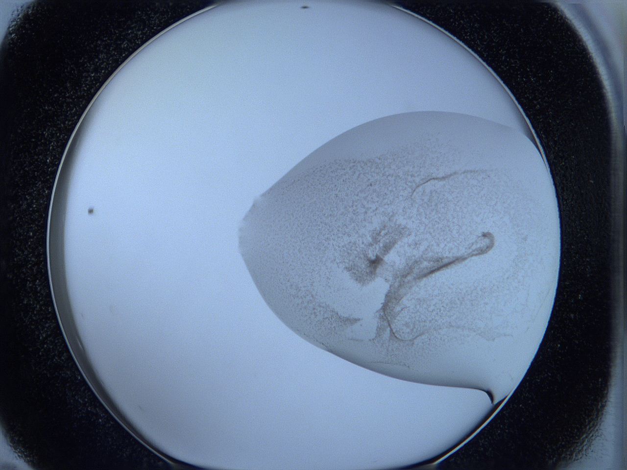 05w5_E11_ImagerDefaults_3.jpg