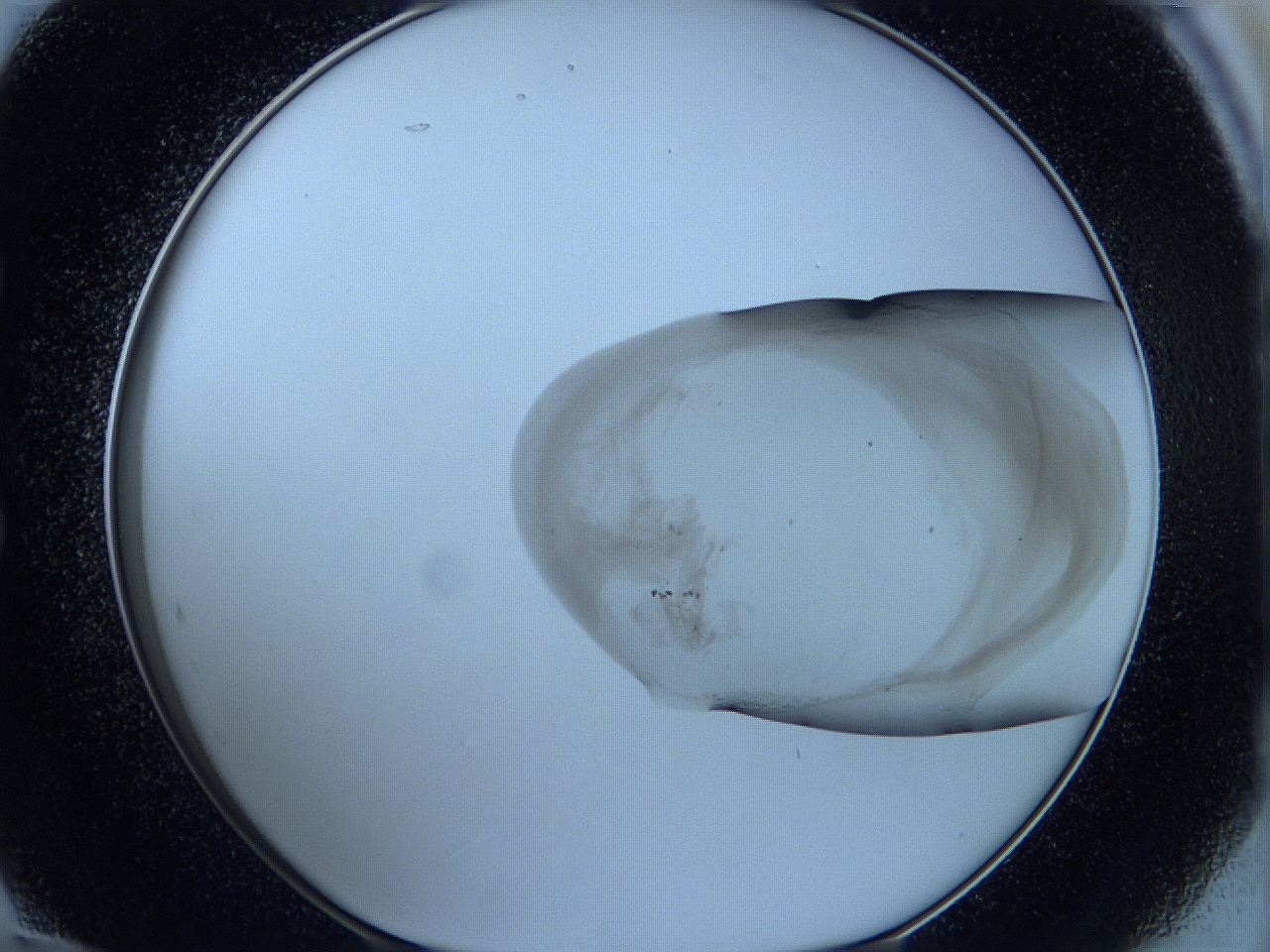 05w5_E12_ImagerDefaults_3.jpg
