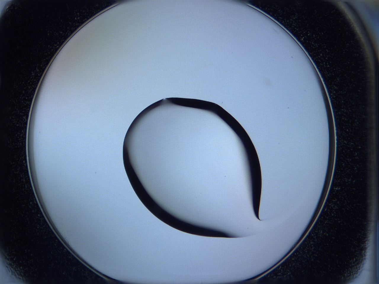 05w5_F4_ImagerDefaults_1.jpg