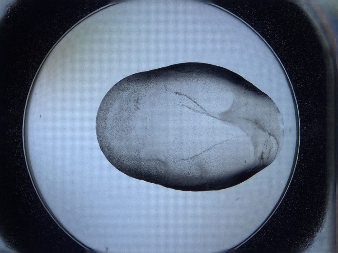 05w5_F10_ImagerDefaults_3.jpg