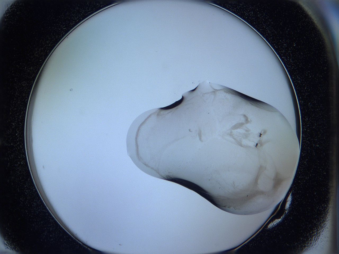 05w5_G10_ImagerDefaults_3.jpg