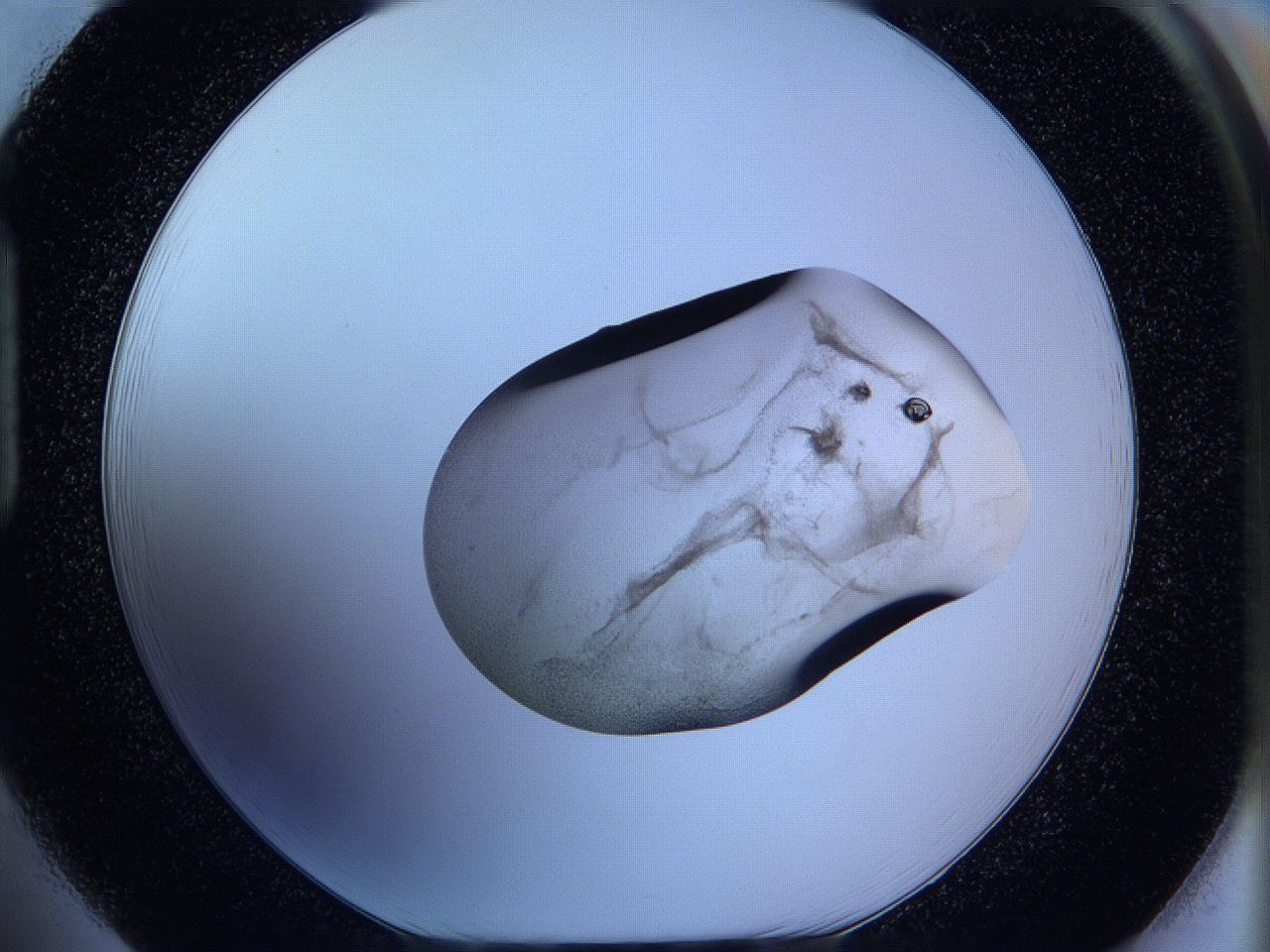 05w5_H1_ImagerDefaults_3.jpg