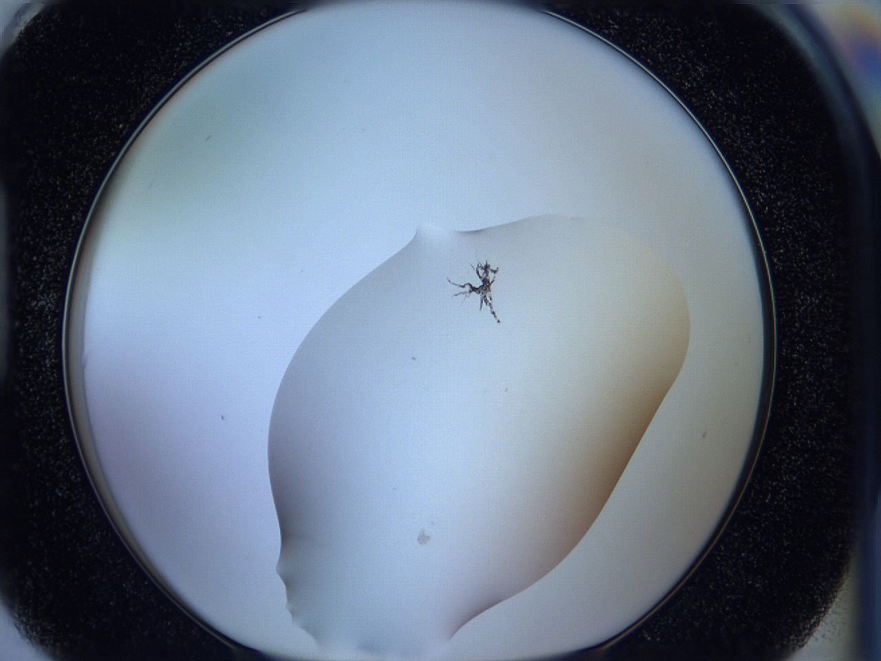 05w5_H6_ImagerDefaults_1.jpg