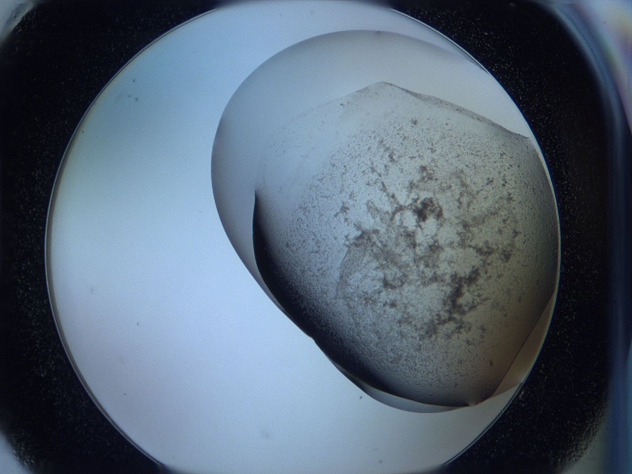 05w5_H8_ImagerDefaults_3.jpg
