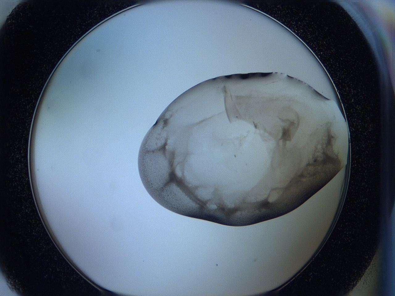 05w5_H9_ImagerDefaults_3.jpg