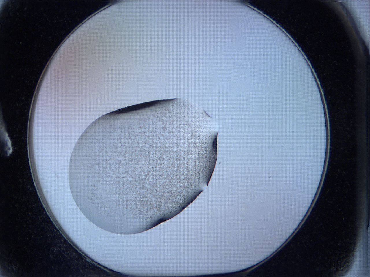 05w6_A2_ImagerDefaults_3.jpg