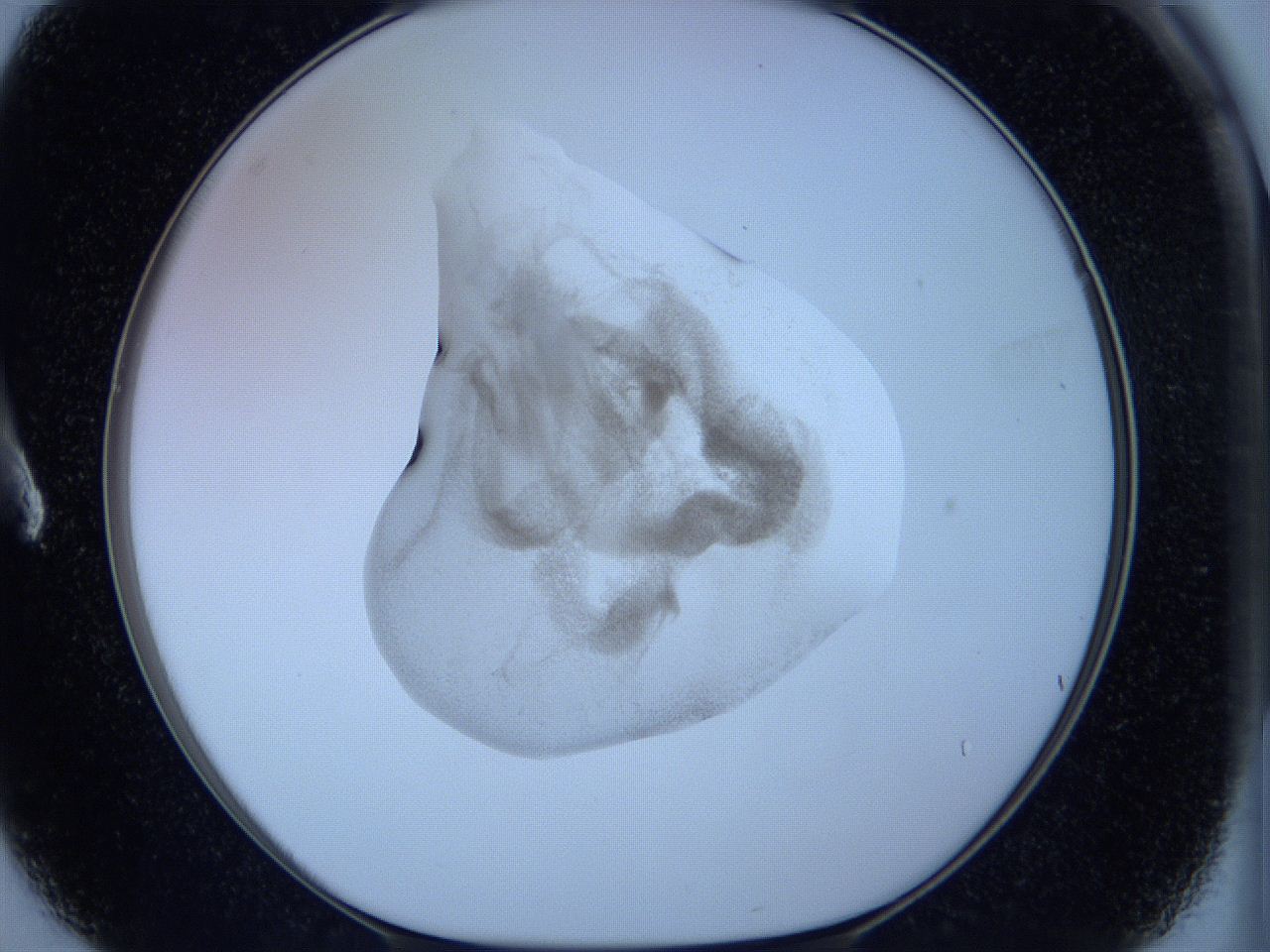 05w6_A3_ImagerDefaults_3.jpg