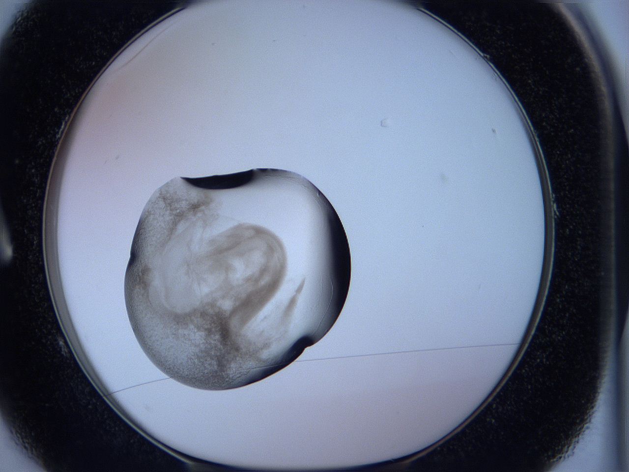 05w6_A1_ImagerDefaults_3.jpg