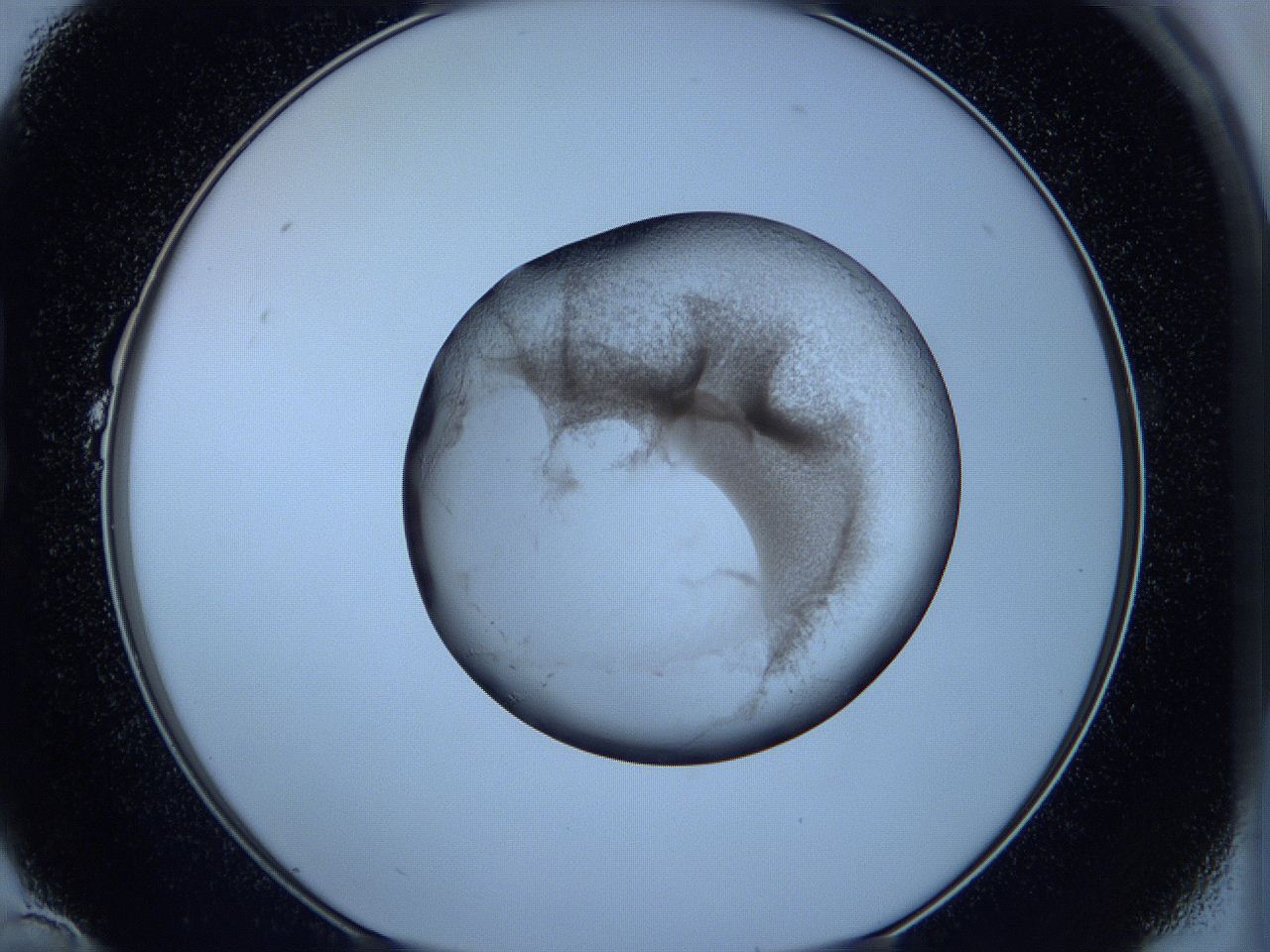 05w6_B10_ImagerDefaults_3.jpg