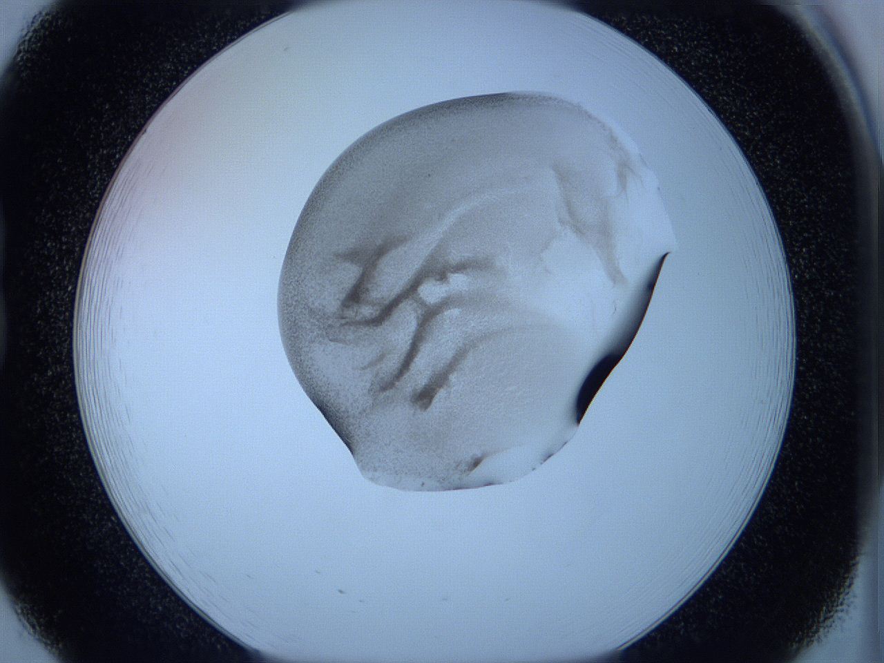 05w6_B8_ImagerDefaults_3.jpg