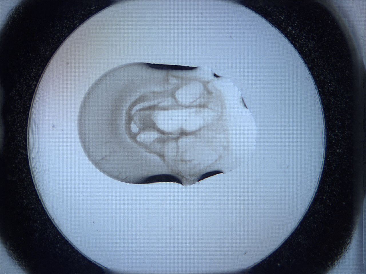 05w6_B6_ImagerDefaults_3.jpg