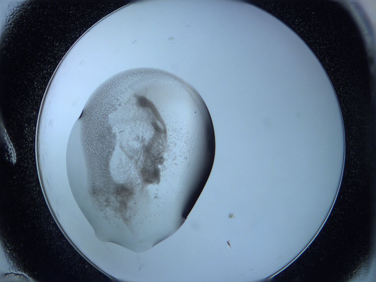 05w6_A12_ImagerDefaults_3.jpg