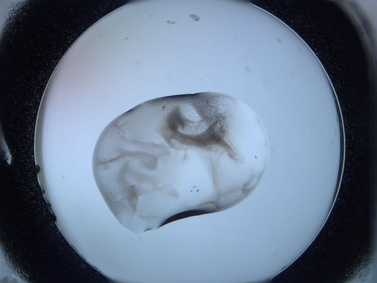 05w6_A11_ImagerDefaults_3.jpg