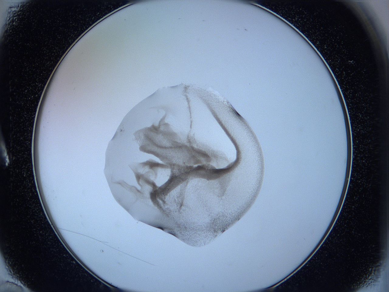 05w6_A10_ImagerDefaults_3.jpg