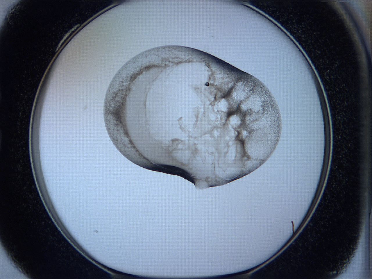 05w6_C4_ImagerDefaults_3.jpg