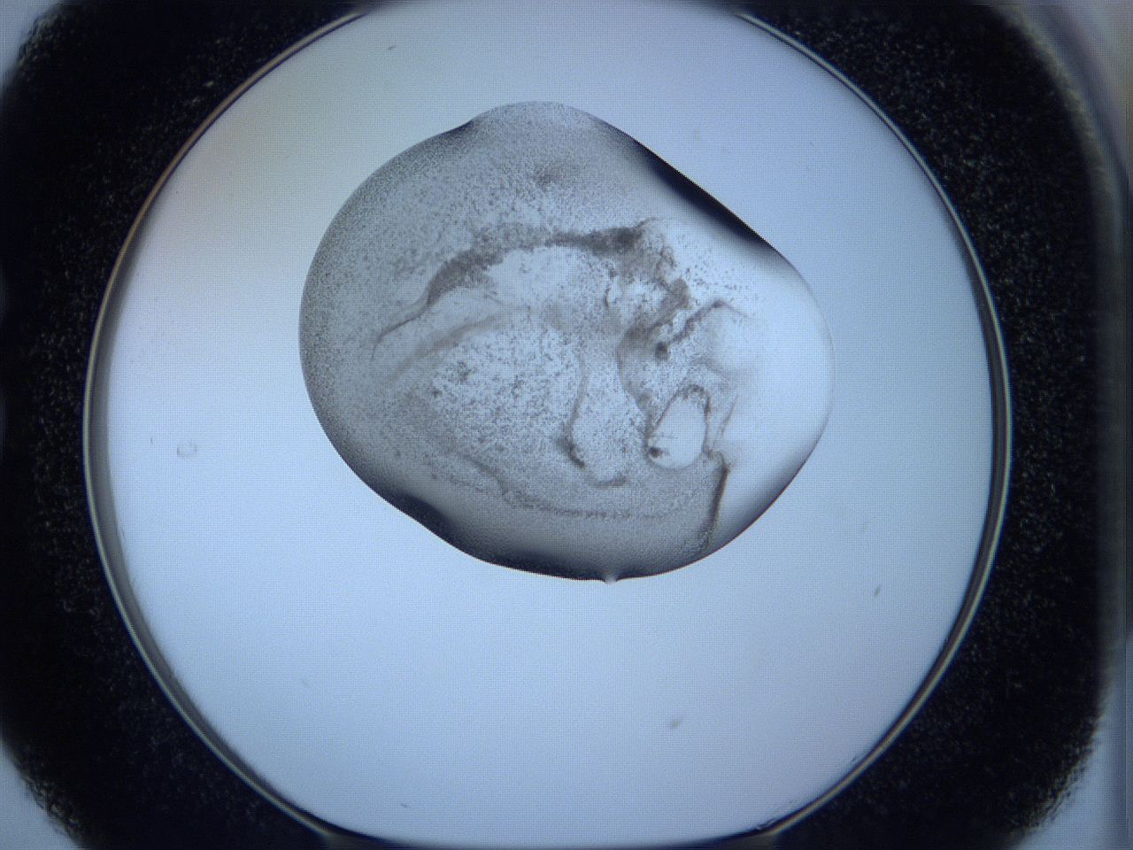 05w6_C5_ImagerDefaults_3.jpg