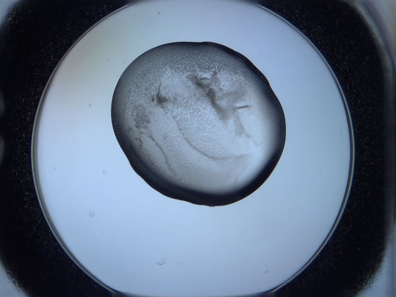 05w6_C6_ImagerDefaults_3.jpg
