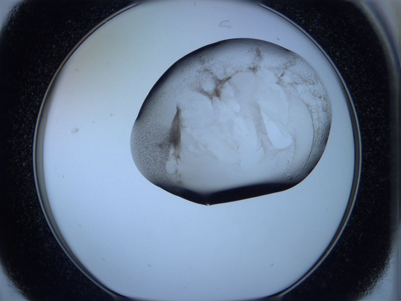 05w6_C7_ImagerDefaults_3.jpg
