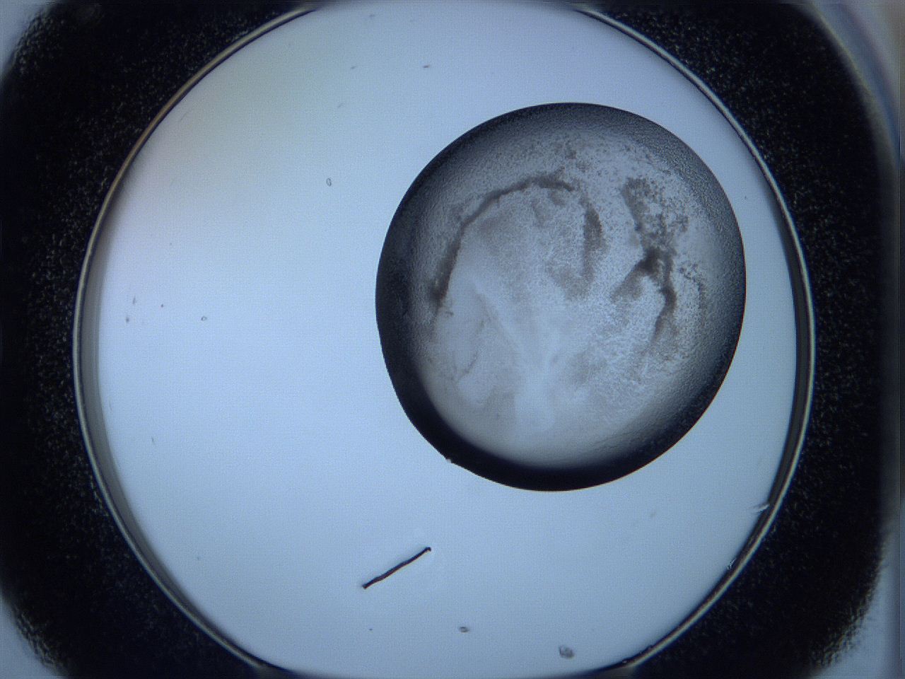 05w6_C8_ImagerDefaults_3.jpg