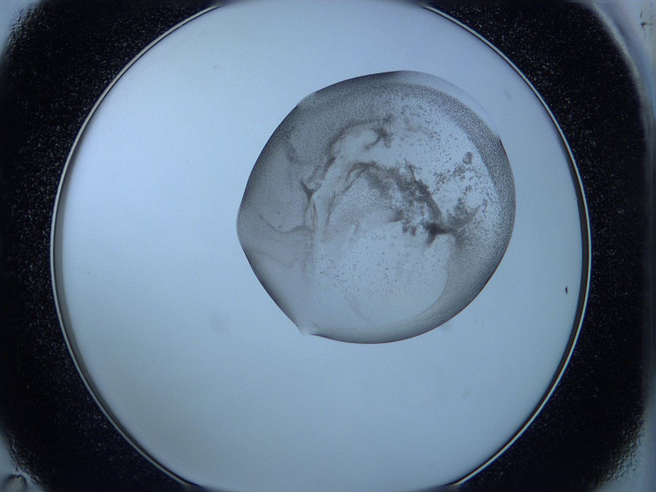 05w6_C11_ImagerDefaults_3.jpg