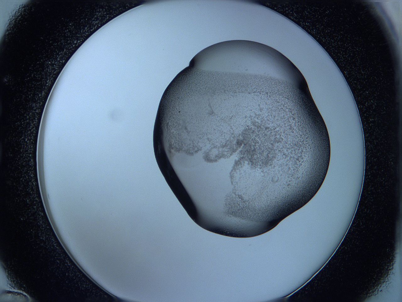 05w6_C12_ImagerDefaults_3.jpg